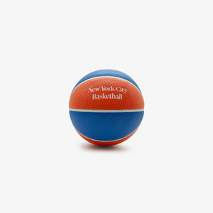 Mini New York City Basketball