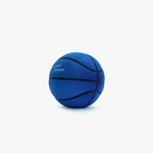 Mini Gradient Basketball